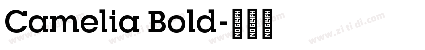 Camelia Bold字体转换 Camelia Bold字体转换